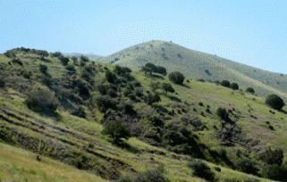 Property in Grant County, New Mexico