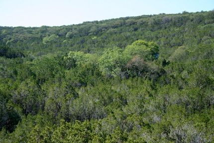 Property in Real County, Texas