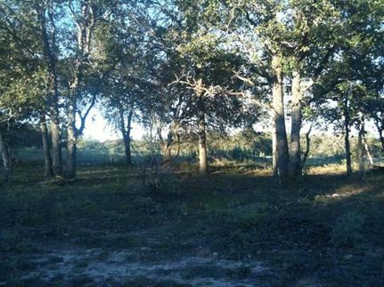 Property in Wilson County, Texas