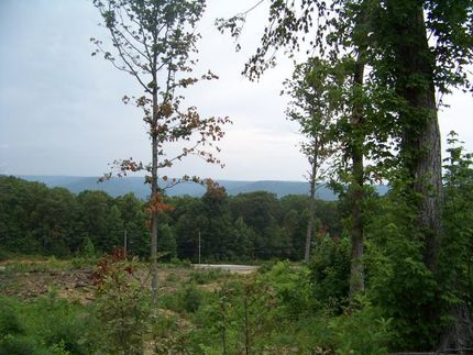 Farm Property in Marion County, Tennessee