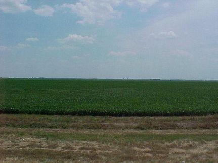 Ranch Property in Bolivar County, Mississippi