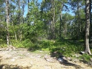 Ranch Property in Centre County, Pennsylvania