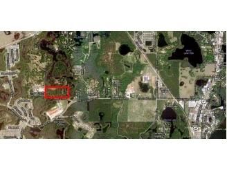 Ranch Property in Pasco County, Florida