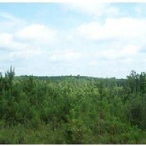 Ranch Property in Crenshaw County, Alabama
