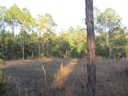 Farm Property in Dixie County, Florida