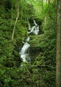 Farm Property in Swain County, North Carolina