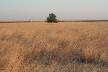 Farm Property in Hale County, Texas