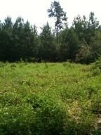 Ranch Property in Walthall County, Mississippi