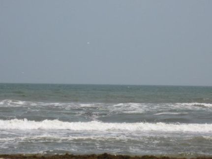 Farm Property in Matagorda County, Texas