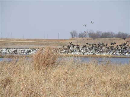 Property in Knox County, Texas