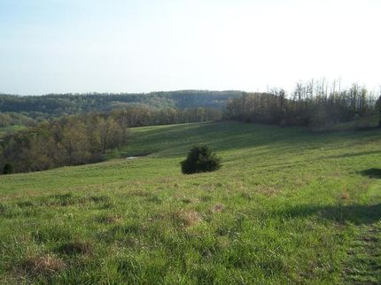 Property in Madison County, Arkansas