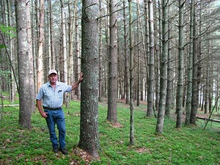 Property in Pocahontas County, West Virginia
