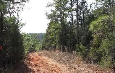 Ranch Property in Fairfield County, South Carolina