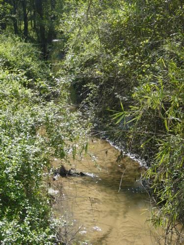 Property in Pike County, Georgia