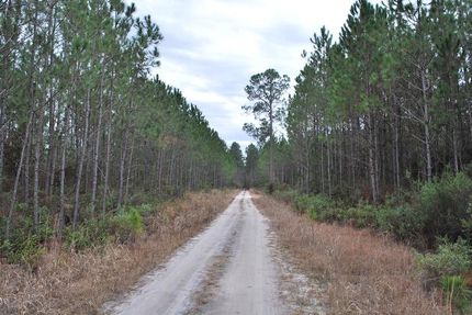 Ranch Property in Appling County, Georgia