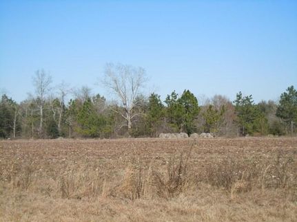 Property in Emanuel County, Georgia