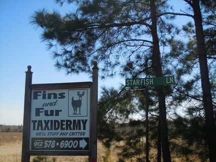 Ranch Property in Emanuel County, Georgia