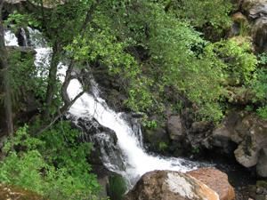 Farm Property in Shasta County, California