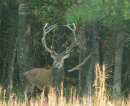 Property in Heard County, Georgia