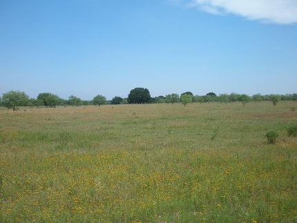 Property in Navarro County, Texas