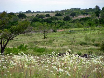 Farm Property in Coryell County, Texas