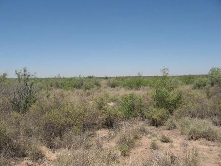 Ranch Property in Ward County, Texas
