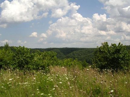 Farm Property in Lewis County, Tennessee