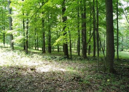 Farm Property in Kent County, Delaware