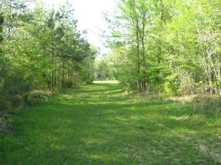 Property in Rankin County, Mississippi