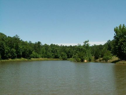 Farm Property in Meriwether County, Georgia
