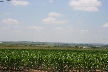Farm Property in Guadalupe County, Texas