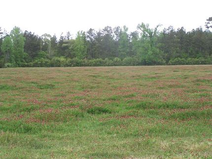 Farm Property in Tyler County, Texas
