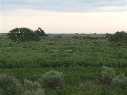 Property in Wilbarger County, Texas