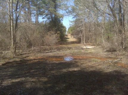 Ranch Property in Union Parish, Louisiana