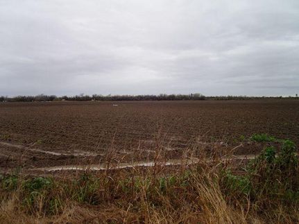 Farm Property in Hidalgo County, Texas