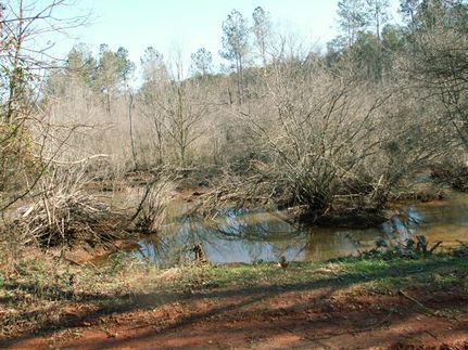 Property in Meriwether County, Georgia