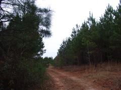Property in Carroll County, Georgia