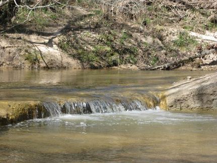 Property in Abbeville County, South Carolina