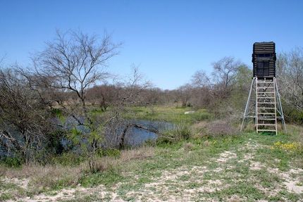 Property in Duval County, Texas