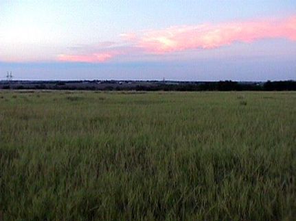 Farm Property in Travis County, Texas