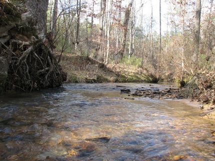 Farm Property in Fayette County, Alabama