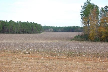 Farm Property in Worth County, Georgia