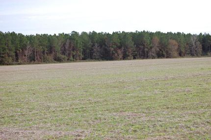 Ranch Property in Worth County, Georgia