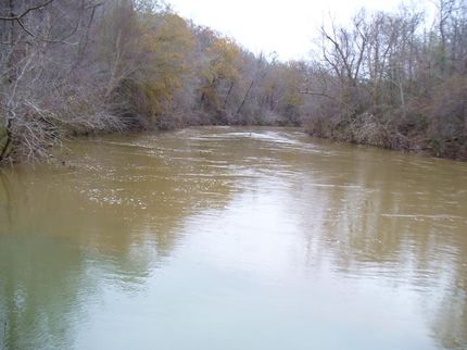 Undeveloped Land in Coosa County, Alabama