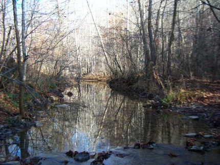 Farm Property in Rockcastle County, Kentucky