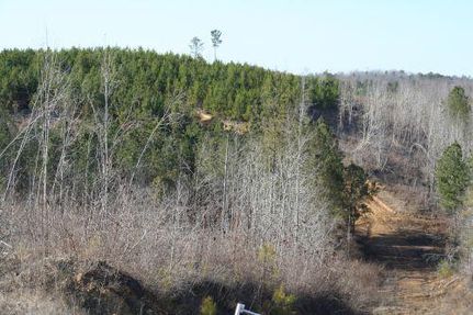 Property in Winston County, Alabama
