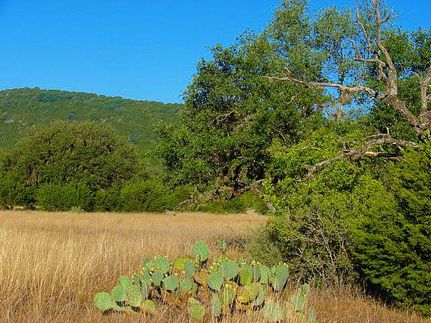 Farm Property in Real County, Texas