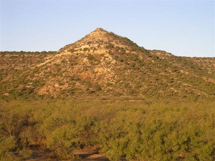 Property in Coke County, Texas