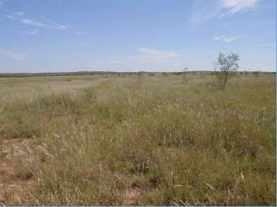 Farm Property in Fisher County, Texas