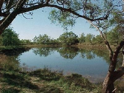 Ranch Property in Runnels County, Texas